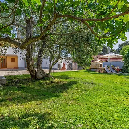 Apartments With Parking Space Banjole, Pula - 7036